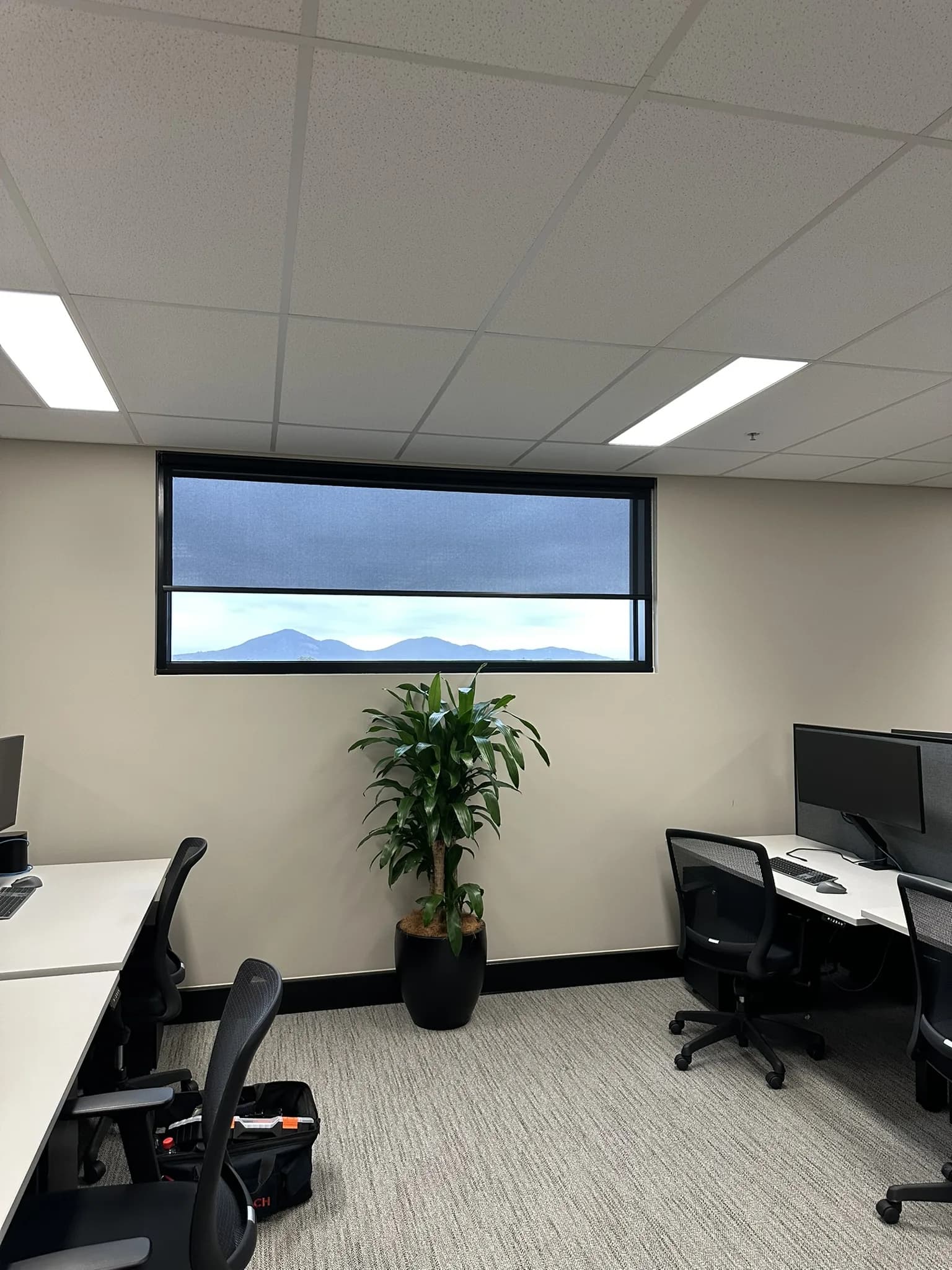 Commercial Sheers and Screen Rollers for Office Fitout, photo 9 of 13
