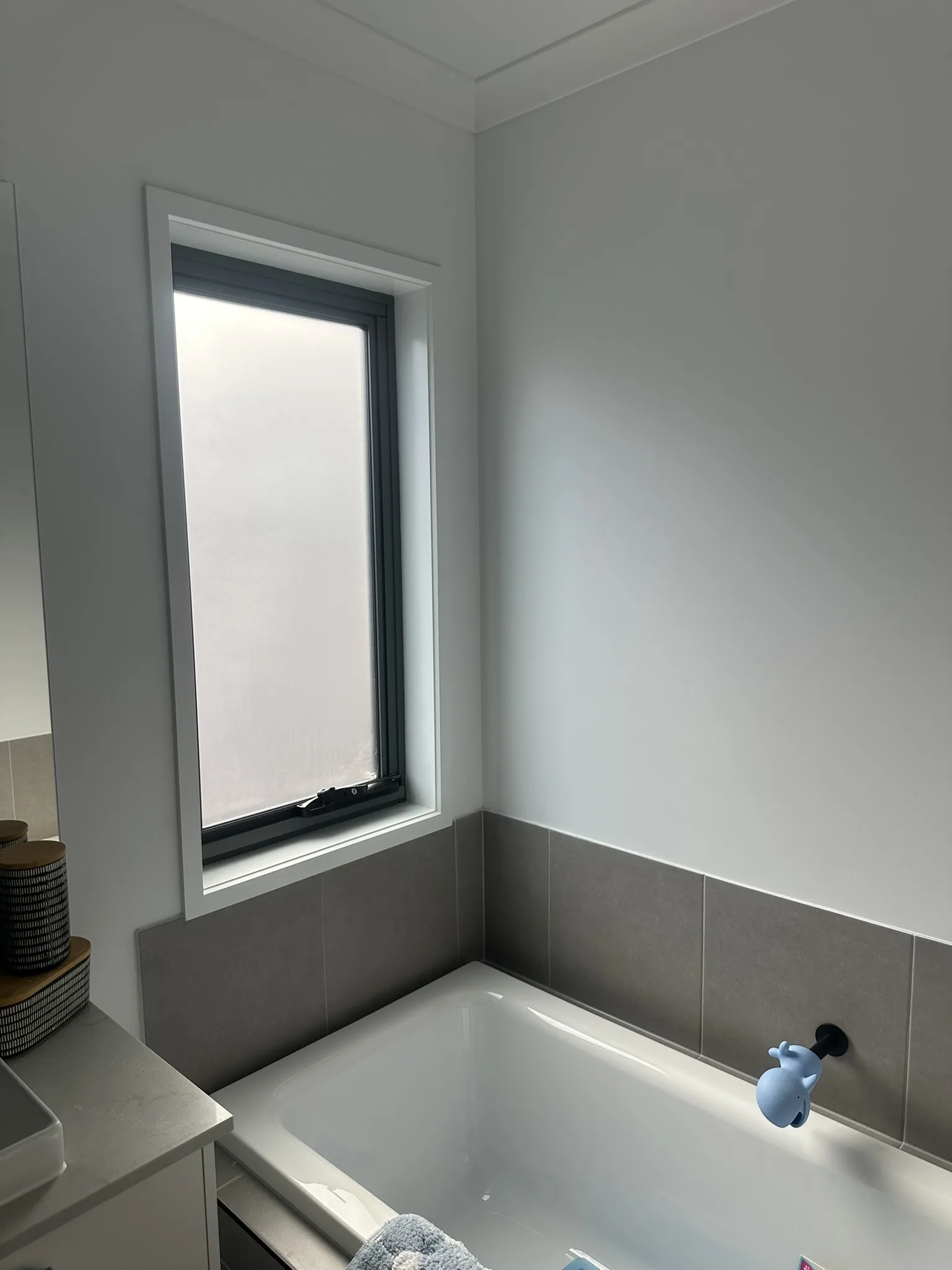 New Build Double Roller Blinds & Frosted Film Package, photo 16 of 17