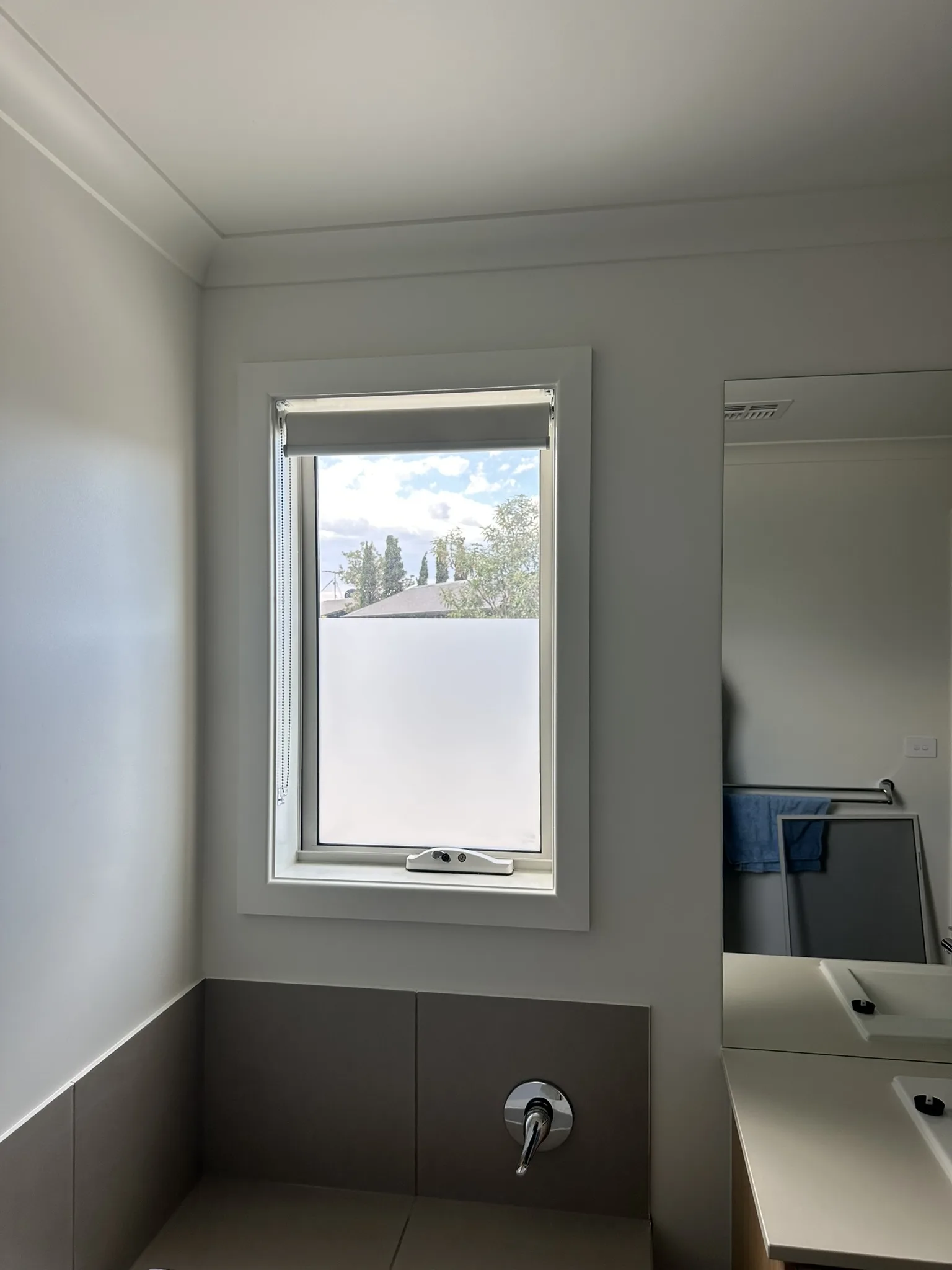 Frost Tint for Bathrooms & Bedrooms — photo 11 of 12