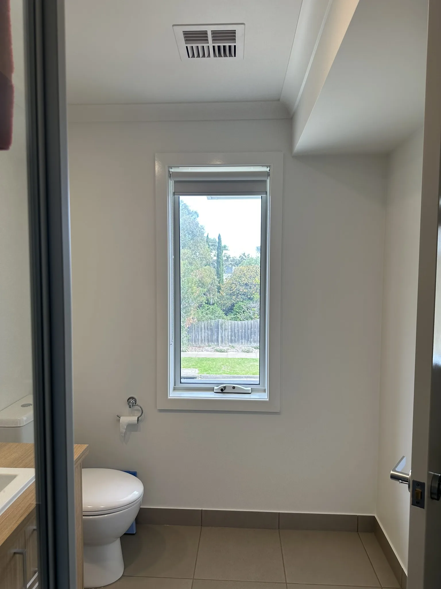 Frost Tint for Bathrooms & Bedrooms — photo 6 of 12