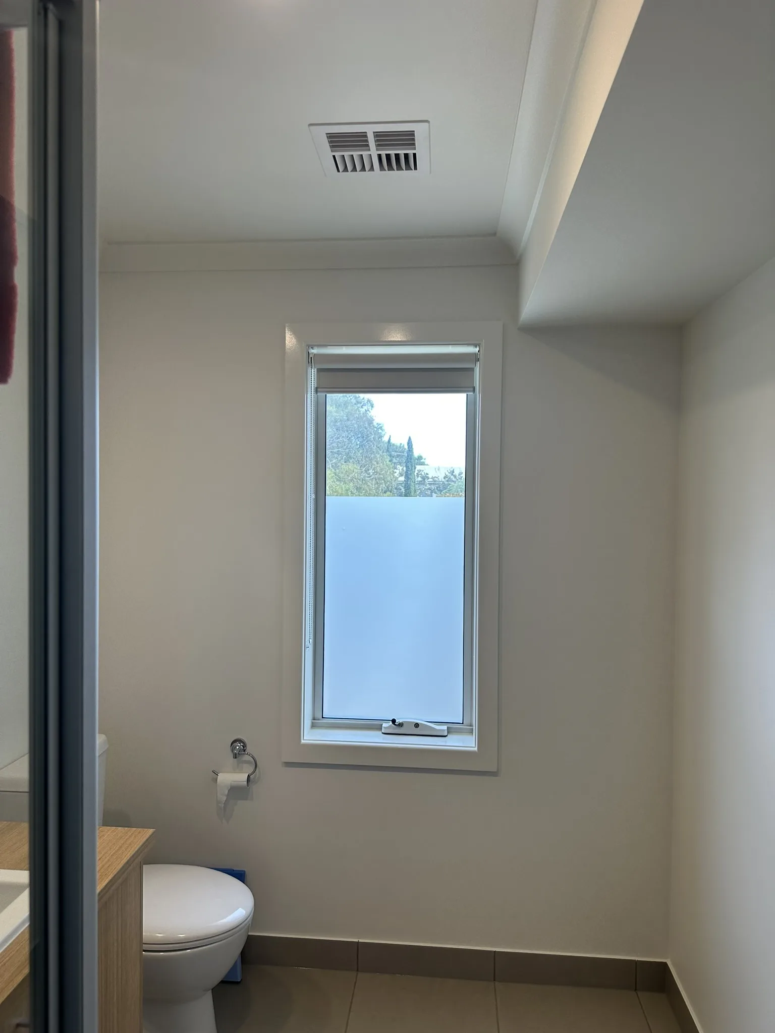 Frost Tint for Bathrooms & Bedrooms — photo 7 of 12