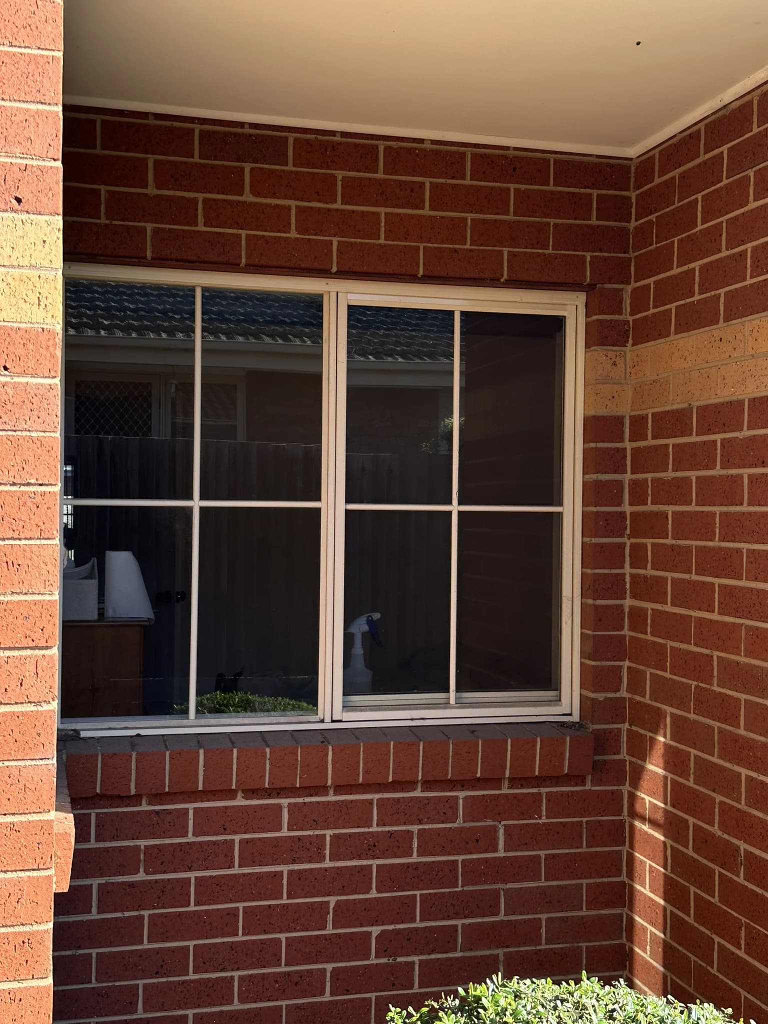 Mirror Tint for Shared Driveway Privacy detail 3