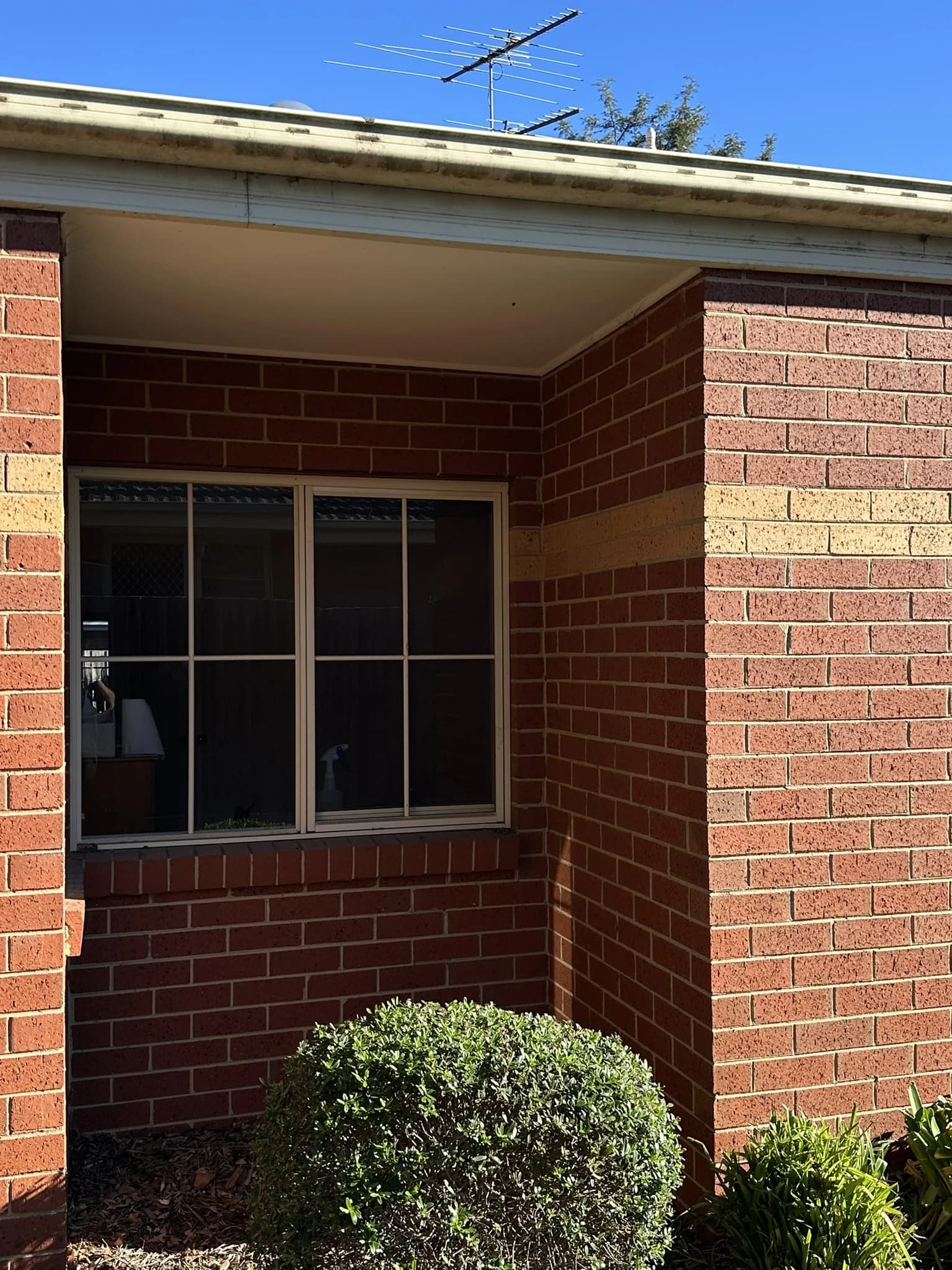 Mirror Tint for Shared Driveway Privacy detail 4