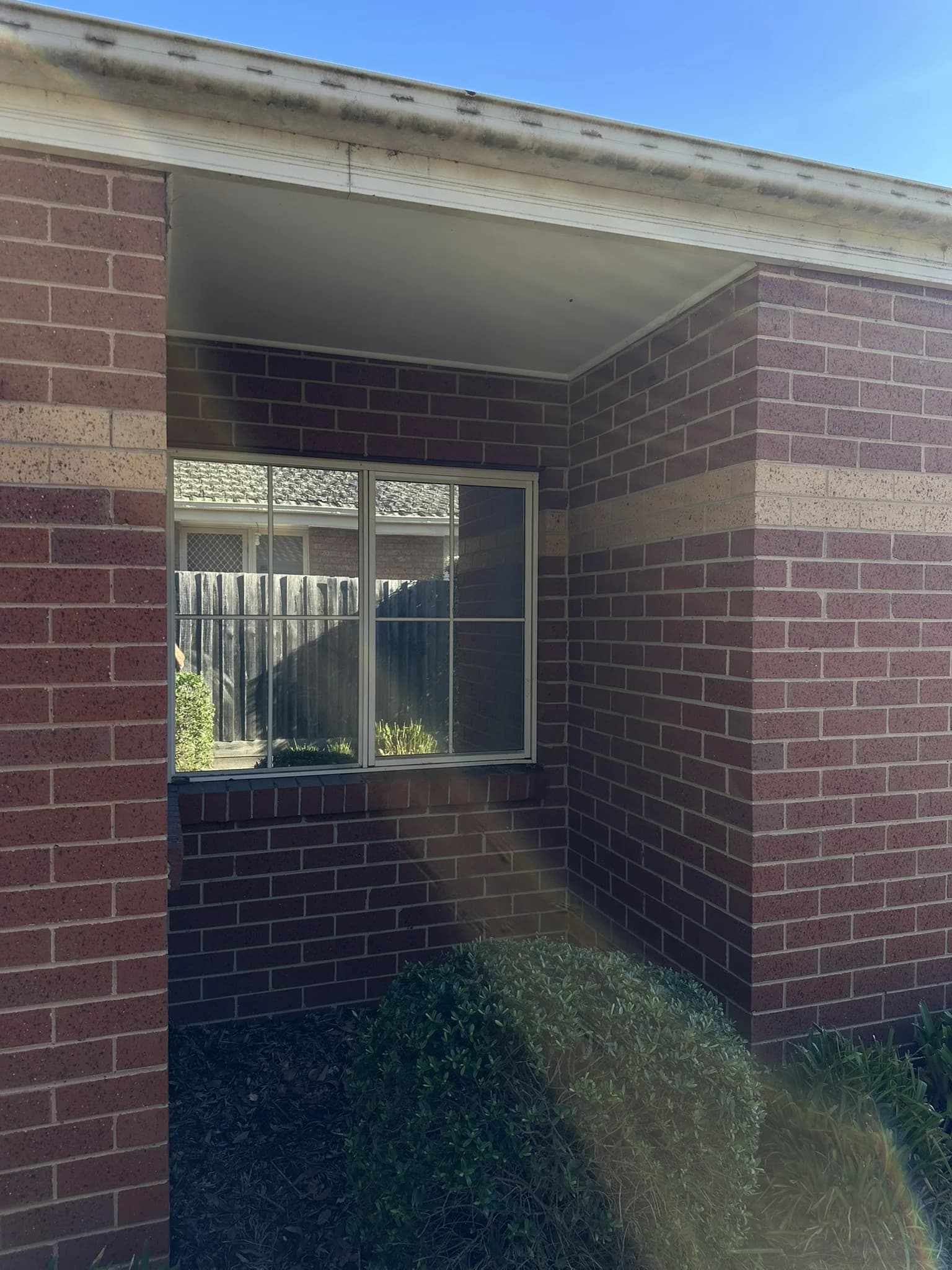 Mirror Tint for Shared Driveway Privacy detail 5