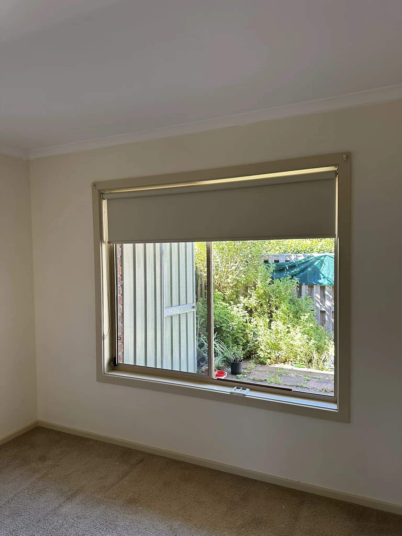 Renovation Double Roller Blinds & Front Door Frosting detail 3