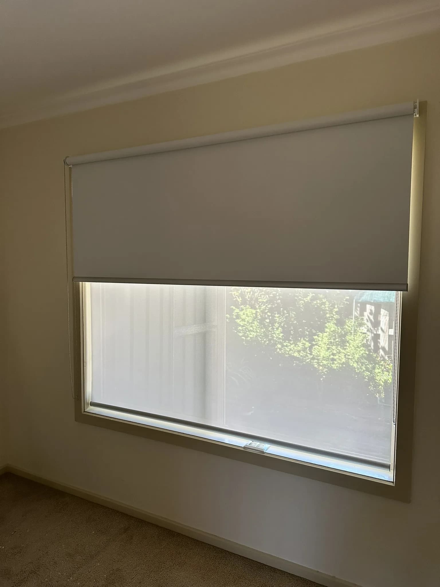 Renovation Double Roller Blinds & Front Door Frosting detail 4