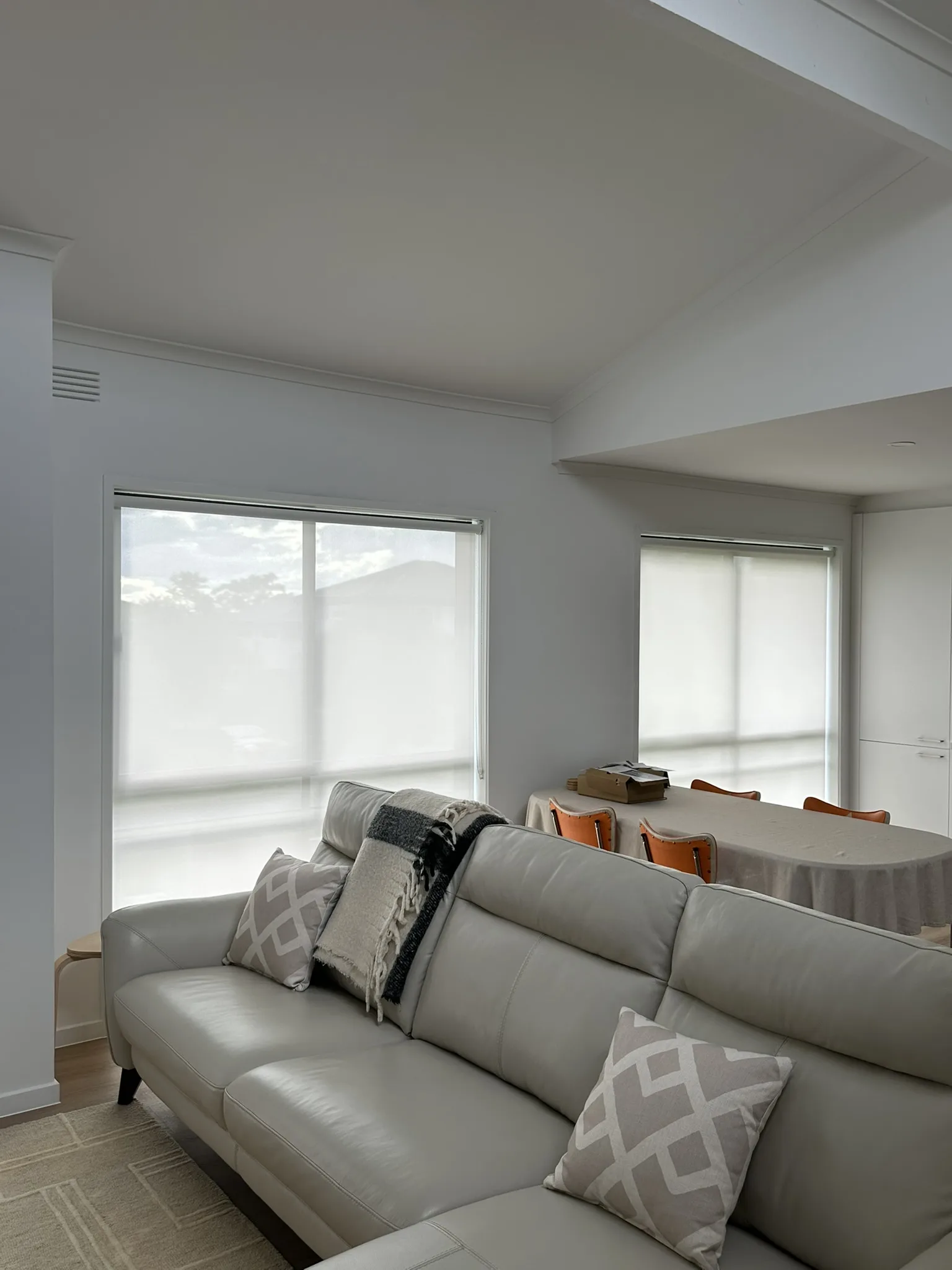 Screen Roller Blinds for Street-Facing Windows detail 4