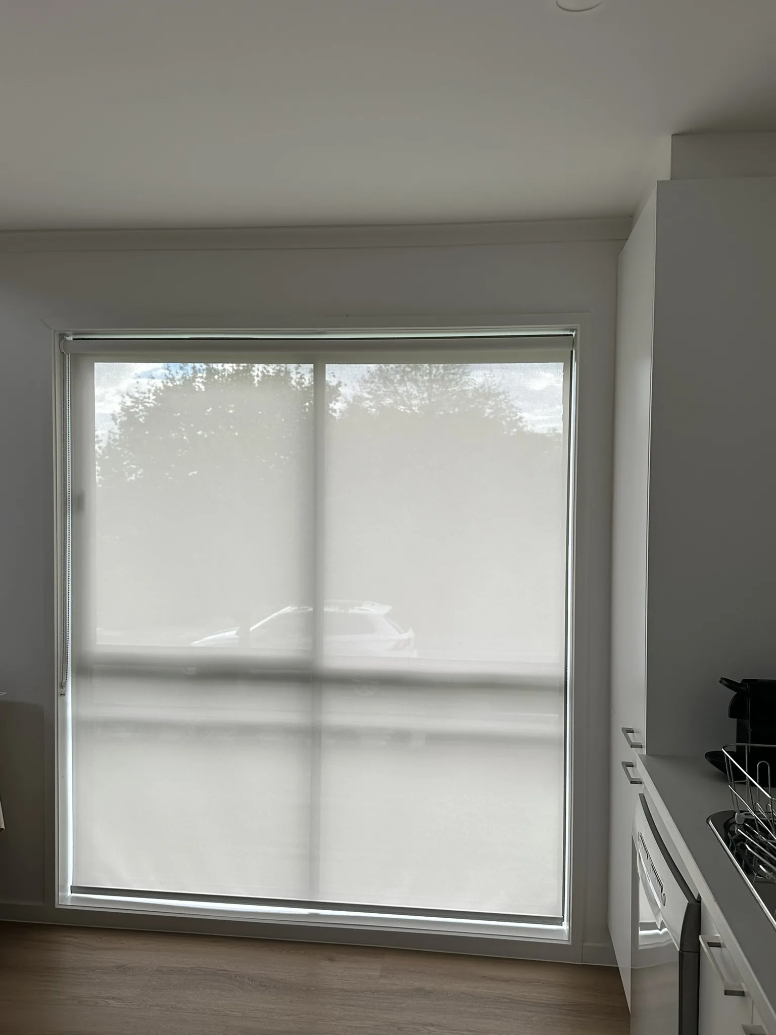 Screen Roller Blinds for Street-Facing Windows detail 5