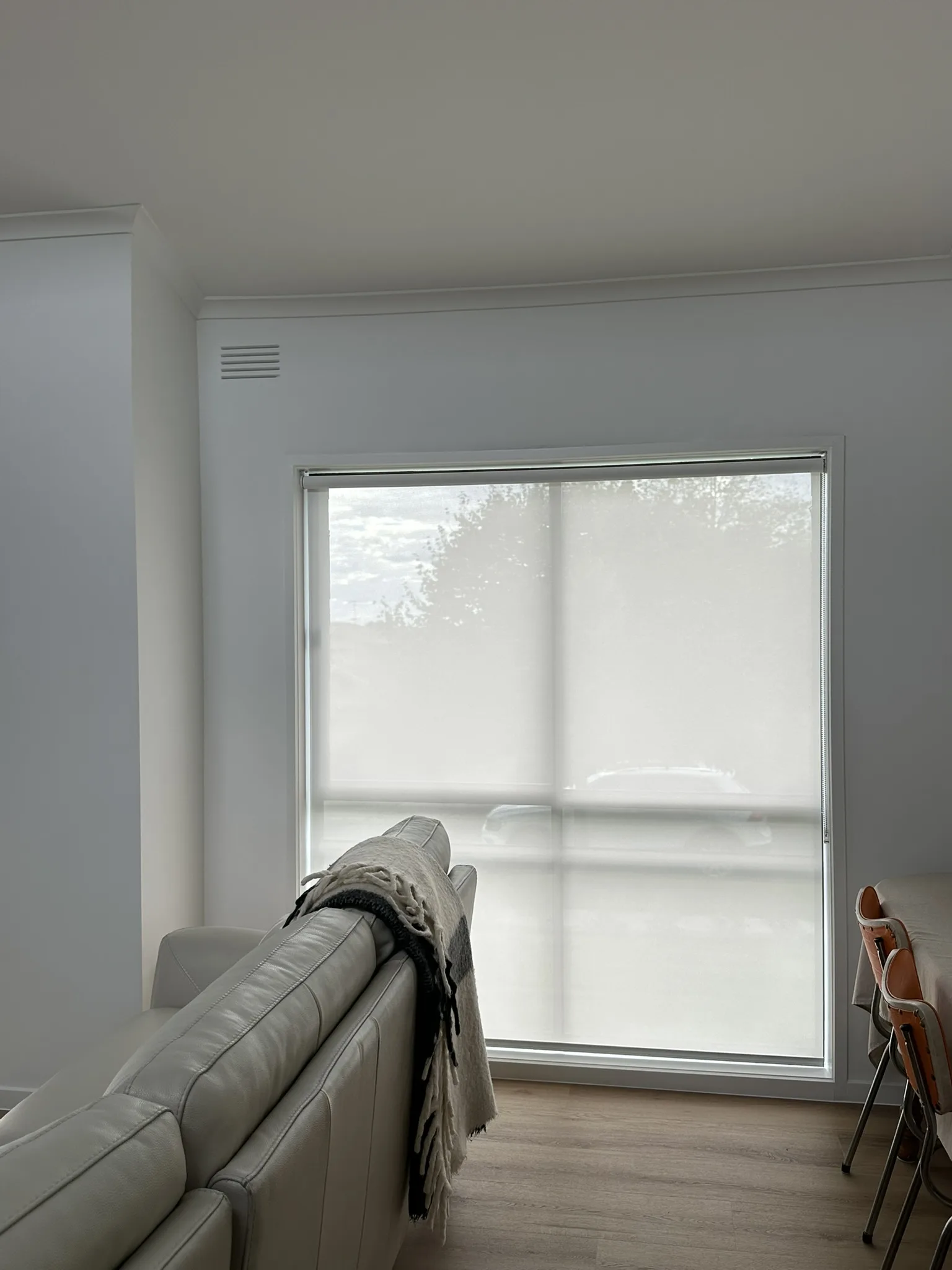 Screen Roller Blinds for Street-Facing Windows — photo 6 of 6