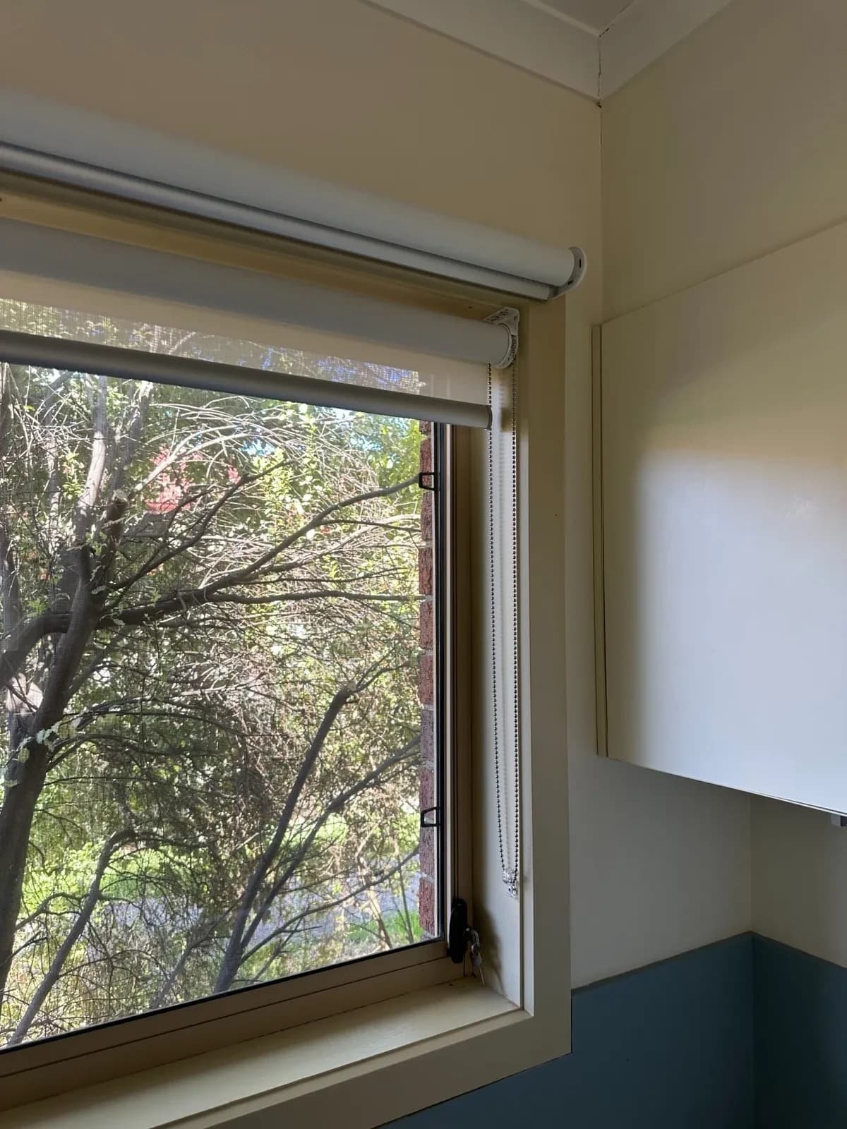 Tinting and Blinds Combo detail 4