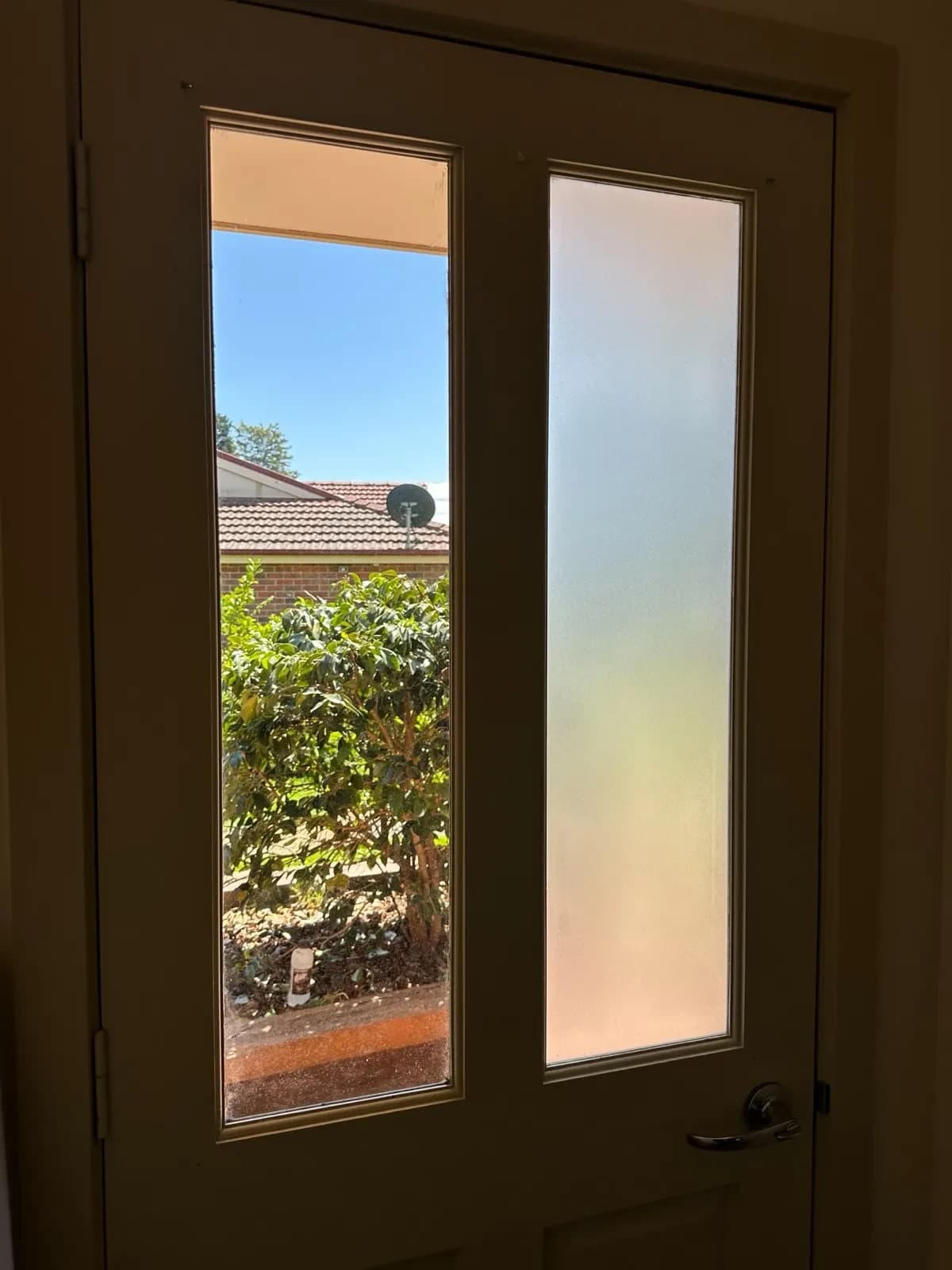 Tinting and Blinds Combo — photo 6 of 7